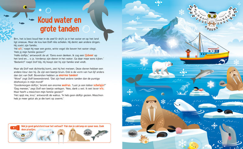 Lantaarn Publishers Boek Speuren Naar Dolfijnen